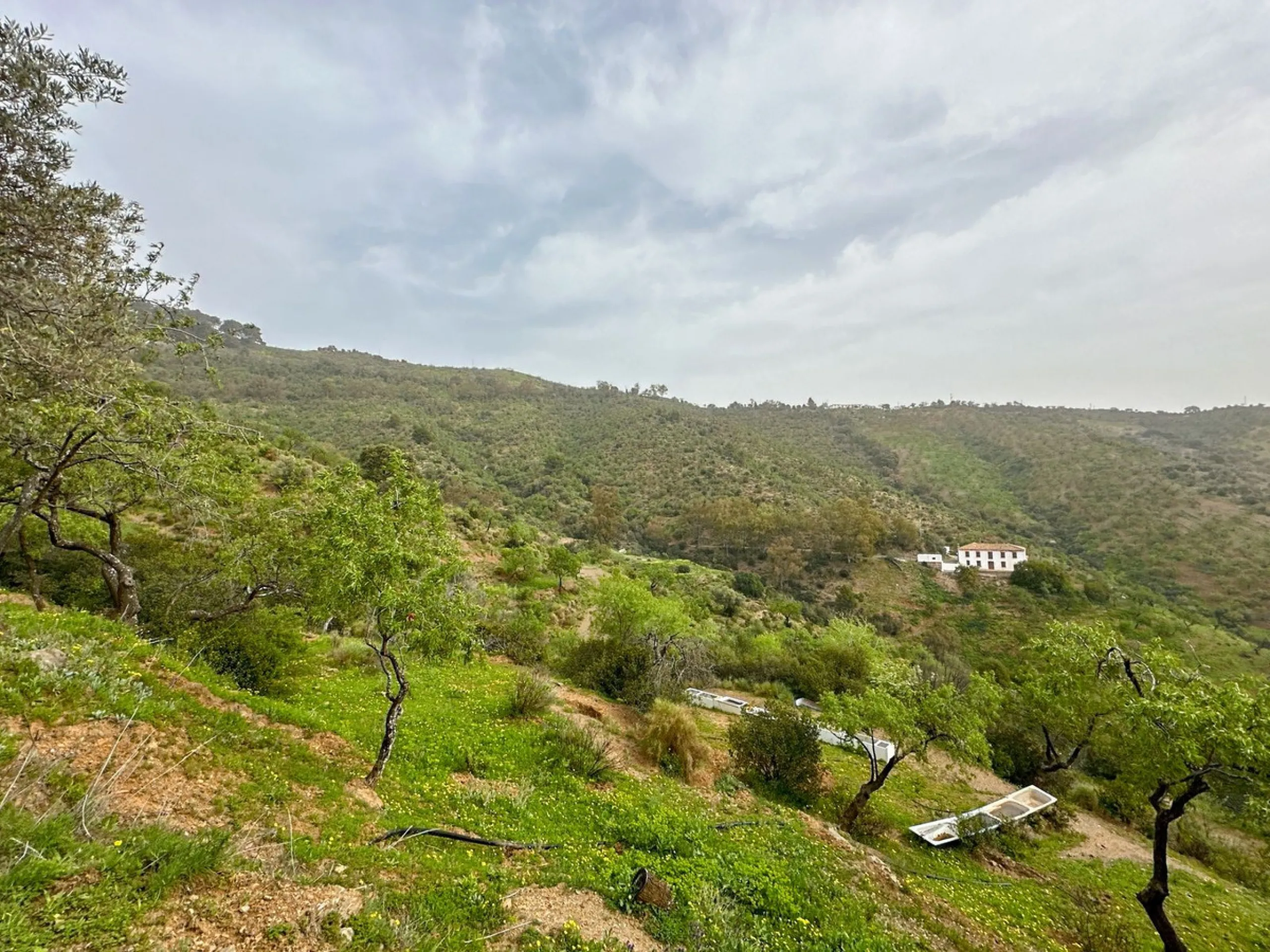 Immerse yourself in the magic of nature and history with this spectacular estate located in the Montes de Málaga Natural Park. Finca Lagar de Tolosa not only offers a unique living experience but also the opportunity to own a piece of Málaga's rich histor