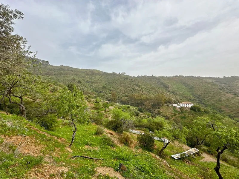 Immerse yourself in the magic of nature and history with this spectacular estate located in the Montes de Málaga Natural Park. Finca Lagar de Tolosa not only offers a unique living experience but also the opportunity to own a piece of Málaga's rich histor