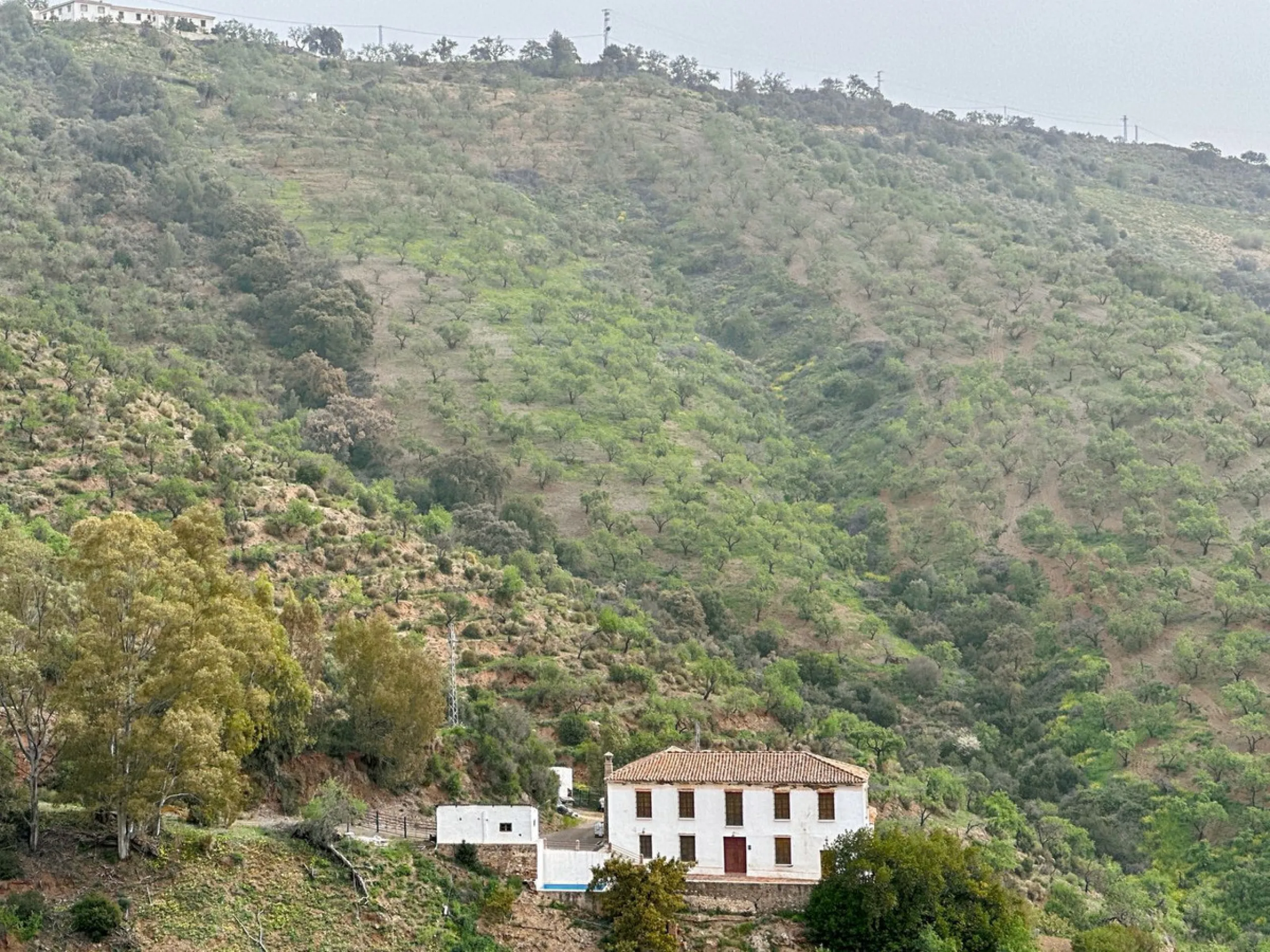 Immerse yourself in the magic of nature and history with this spectacular estate located in the Montes de Málaga Natural Park. Finca Lagar de Tolosa not only offers a unique living experience but also the opportunity to own a piece of Málaga's rich histor