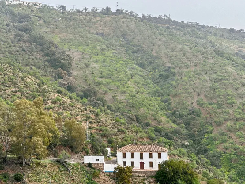 Immerse yourself in the magic of nature and history with this spectacular estate located in the Montes de Málaga Natural Park. Finca Lagar de Tolosa not only offers a unique living experience but also the opportunity to own a piece of Málaga's rich histor