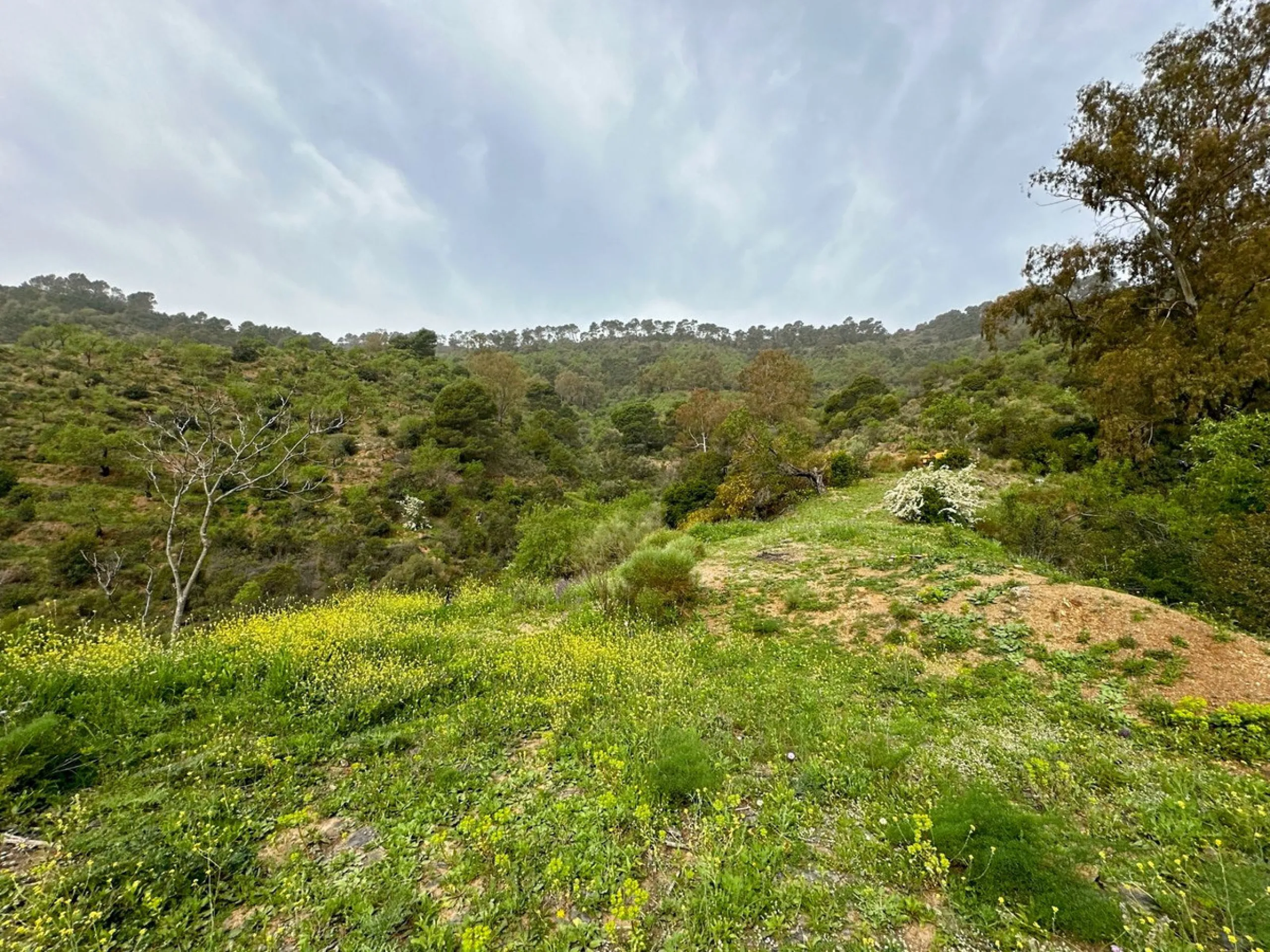 Immerse yourself in the magic of nature and history with this spectacular estate located in the Montes de Málaga Natural Park. Finca Lagar de Tolosa not only offers a unique living experience but also the opportunity to own a piece of Málaga's rich histor