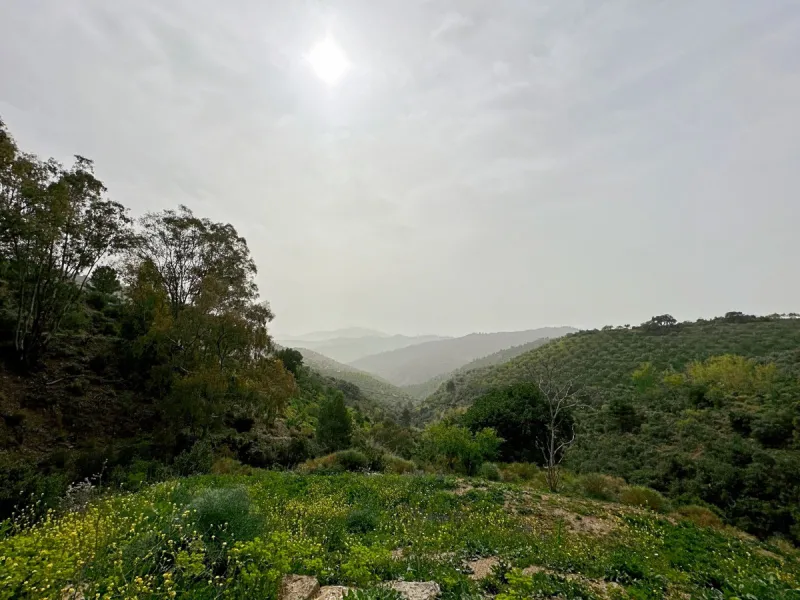 Immerse yourself in the magic of nature and history with this spectacular estate located in the Montes de Málaga Natural Park. Finca Lagar de Tolosa not only offers a unique living experience but also the opportunity to own a piece of Málaga's rich histor