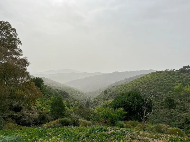 Immerse yourself in the magic of nature and history with this spectacular estate located in the Montes de Málaga Natural Park. Finca Lagar de Tolosa not only offers a unique living experience but also the opportunity to own a piece of Málaga's rich histor