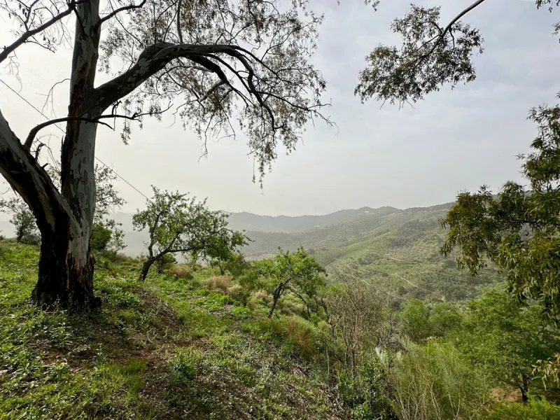 Immerse yourself in the magic of nature and history with this spectacular estate located in the Montes de Málaga Natural Park. Finca Lagar de Tolosa not only offers a unique living experience but also the opportunity to own a piece of Málaga's rich histor