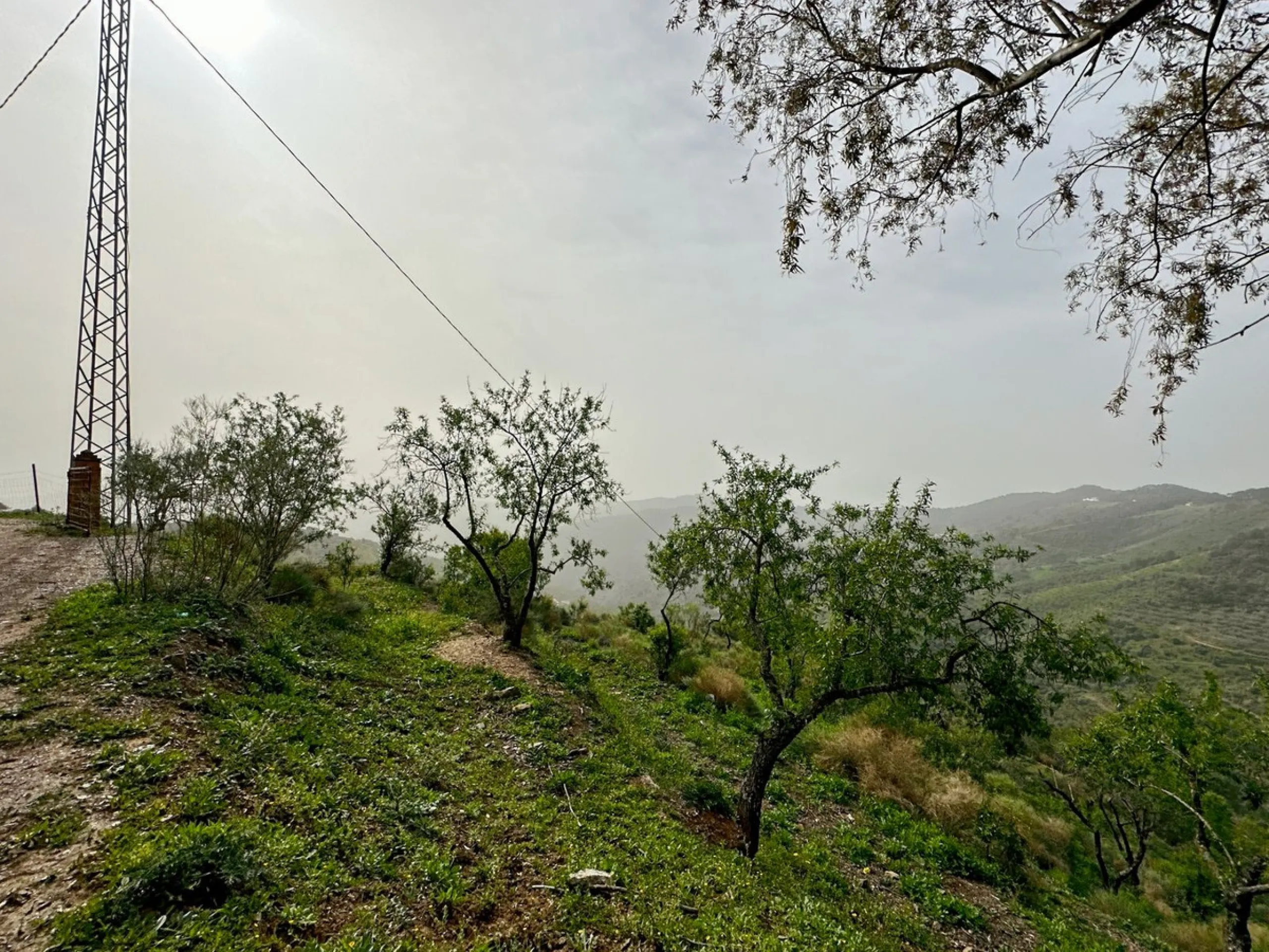 Immerse yourself in the magic of nature and history with this spectacular estate located in the Montes de Málaga Natural Park. Finca Lagar de Tolosa not only offers a unique living experience but also the opportunity to own a piece of Málaga's rich histor