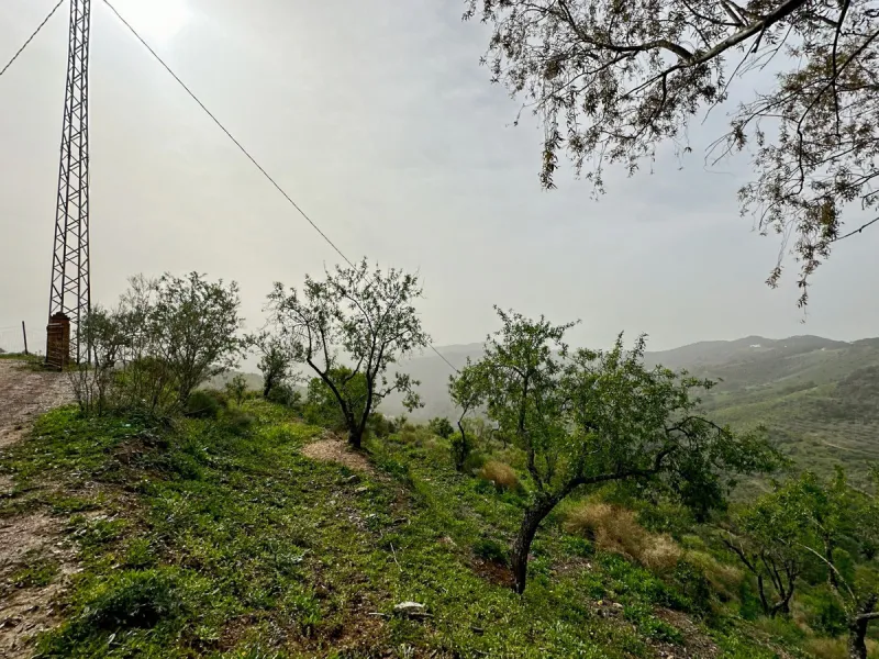 Immerse yourself in the magic of nature and history with this spectacular estate located in the Montes de Málaga Natural Park. Finca Lagar de Tolosa not only offers a unique living experience but also the opportunity to own a piece of Málaga's rich histor