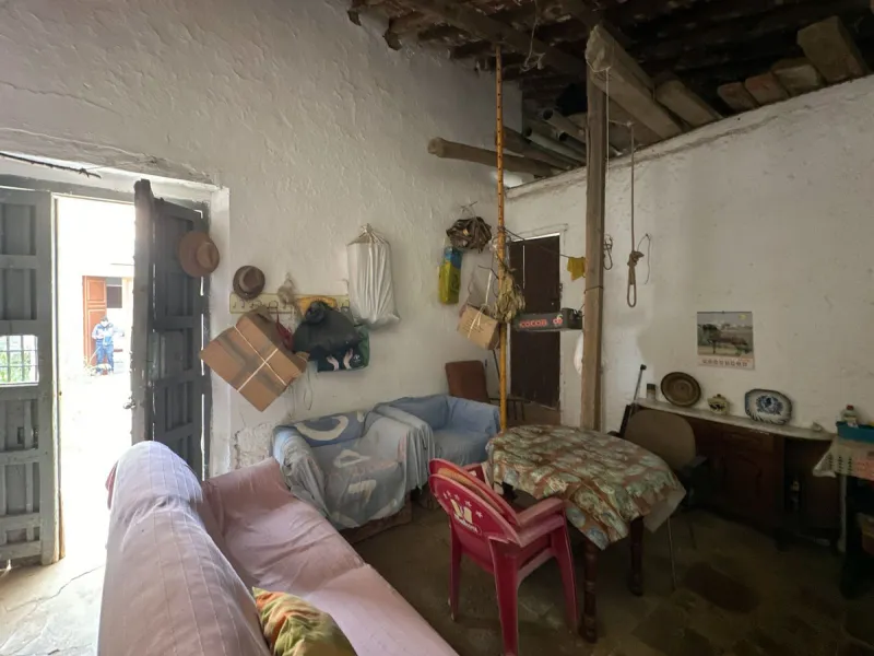 Immerse yourself in the magic of nature and history with this spectacular estate located in the Montes de Málaga Natural Park. Finca Lagar de Tolosa not only offers a unique living experience but also the opportunity to own a piece of Málaga's rich histor