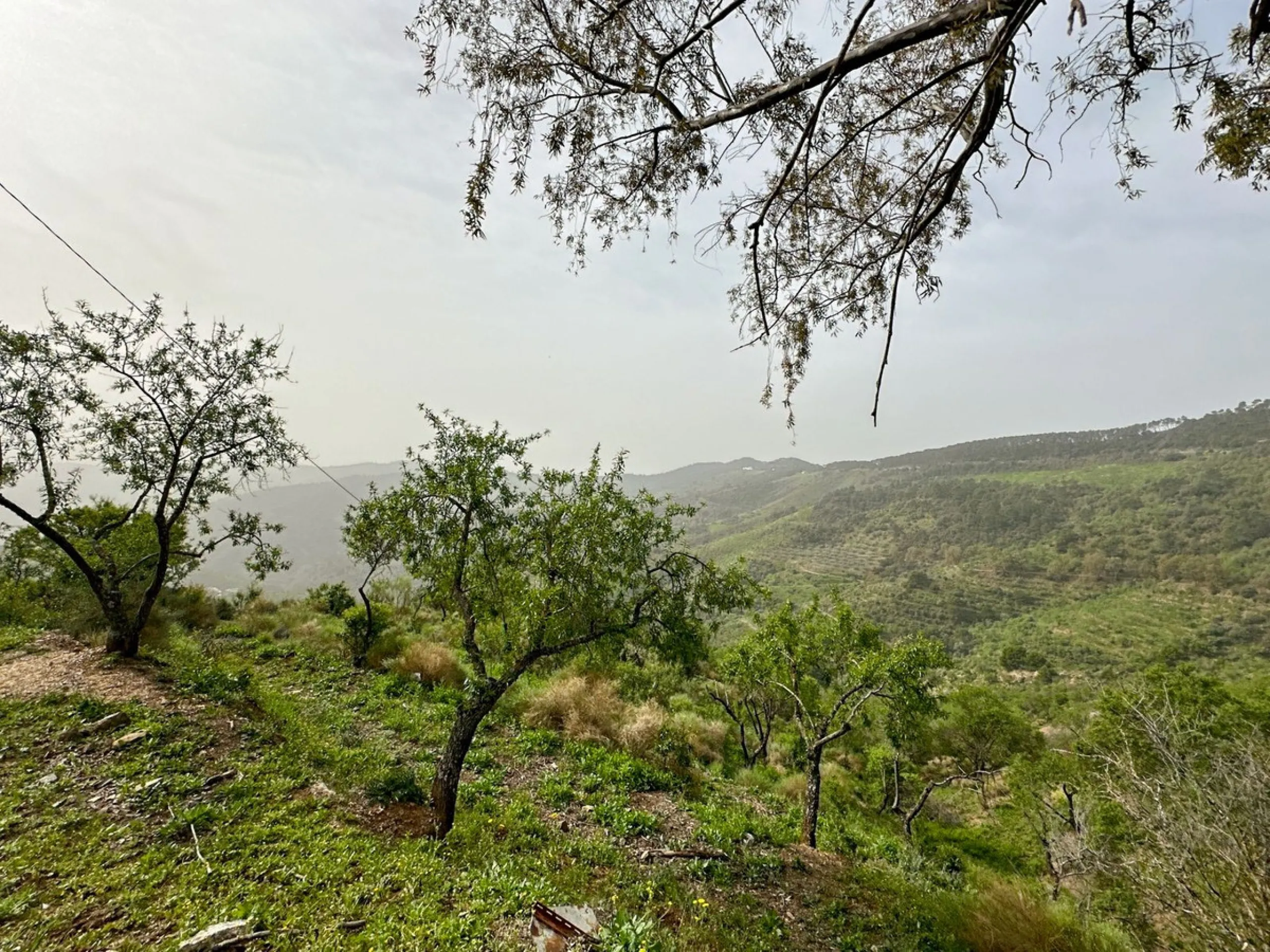 Immerse yourself in the magic of nature and history with this spectacular estate located in the Montes de Málaga Natural Park. Finca Lagar de Tolosa not only offers a unique living experience but also the opportunity to own a piece of Málaga's rich histor