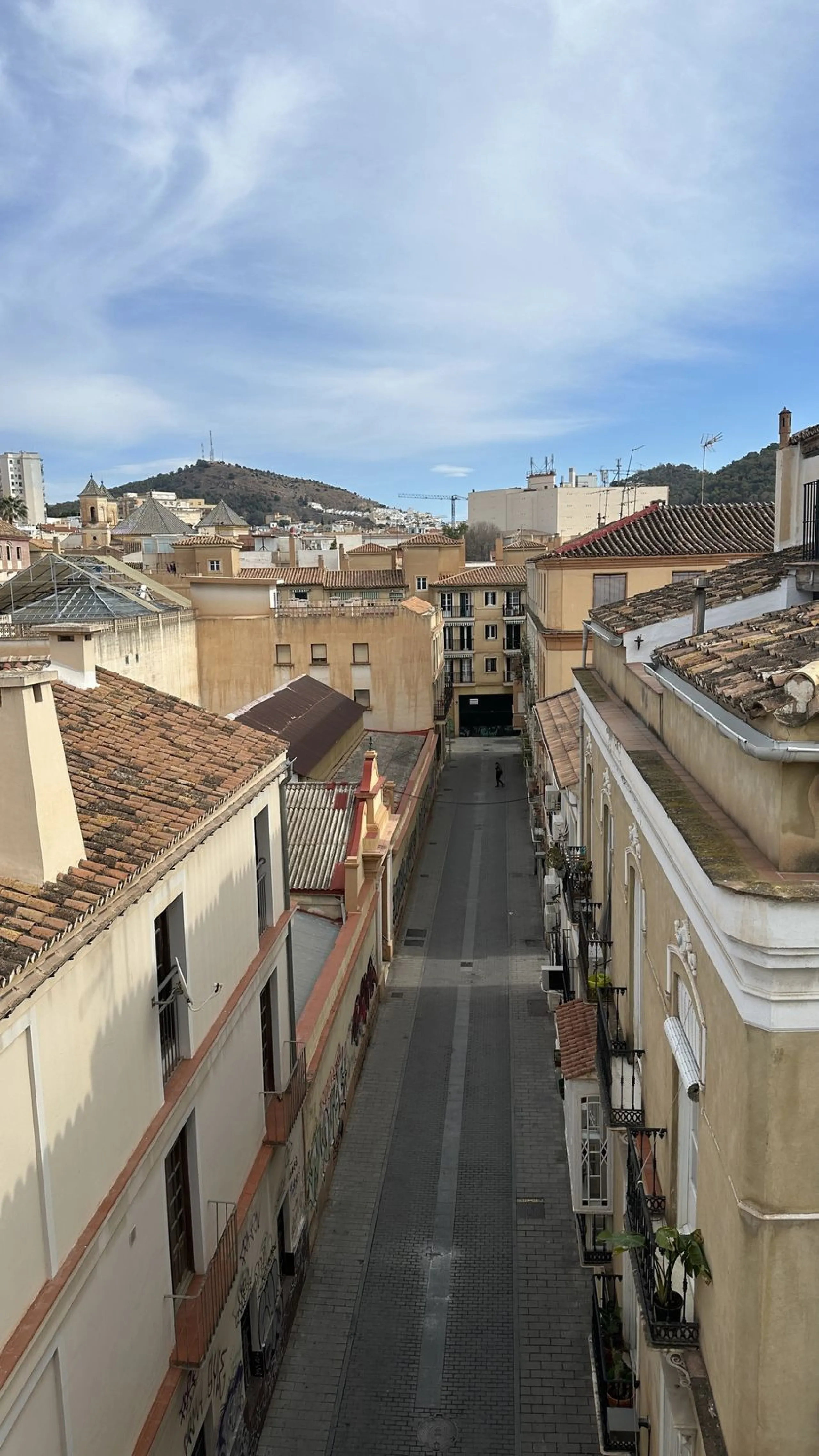 Building in the Malaga Centro Historico with hidden charm and beauty! Built with traditional regional architectural style and documented in the Malaga book of architecture.