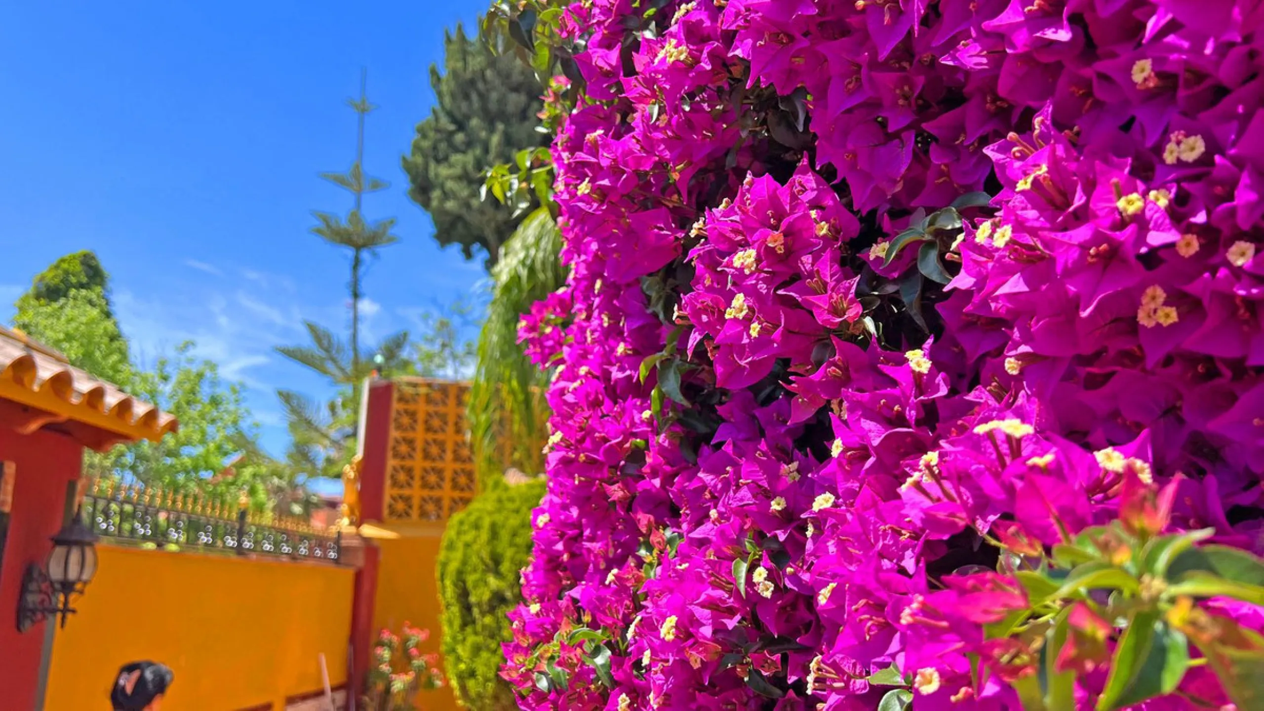Looking for a new place to call home? This huge villa located in the lower area of La Reserva de Marbella is the perfect choice.