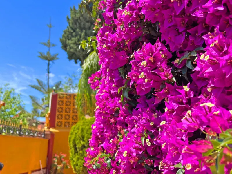 Looking for a new place to call home? This huge villa located in the lower area of La Reserva de Marbella is the perfect choice.