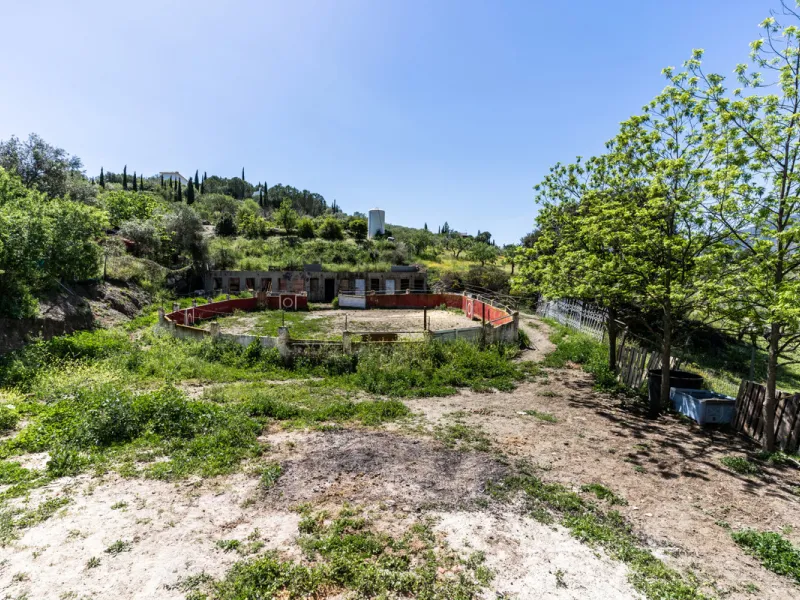 COUNTRY HOUSE in MONDA - Country house with pool, covered porch. On ground floor living/dining room, fitted kitchen, bathrooms, store room, 4 bedrooms. An external staircase leads to the upper floor with living room, office, 2 bedrooms, bathroom and stora
