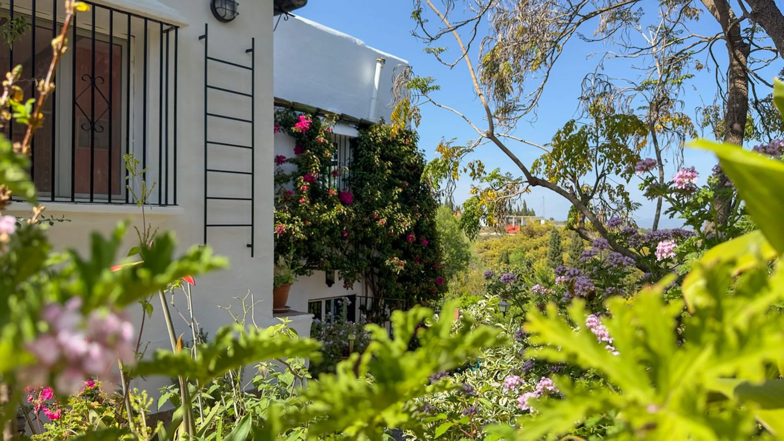 This hidden gem is nestled in a green oasis of nearly 4000m2, located 5 km from the lively village of Alhaurin el Grande, 20 km from the beaches of La Cala de Mijas, and 30 km from Malaga airport. Behind the walls of this historic estate lies a verdant wo