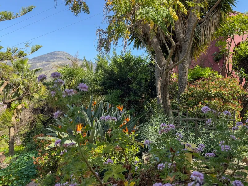 This hidden gem is nestled in a green oasis of nearly 4000m2, located 5 km from the lively village of Alhaurin el Grande, 20 km from the beaches of La Cala de Mijas, and 30 km from Malaga airport. Behind the walls of this historic estate lies a verdant wo