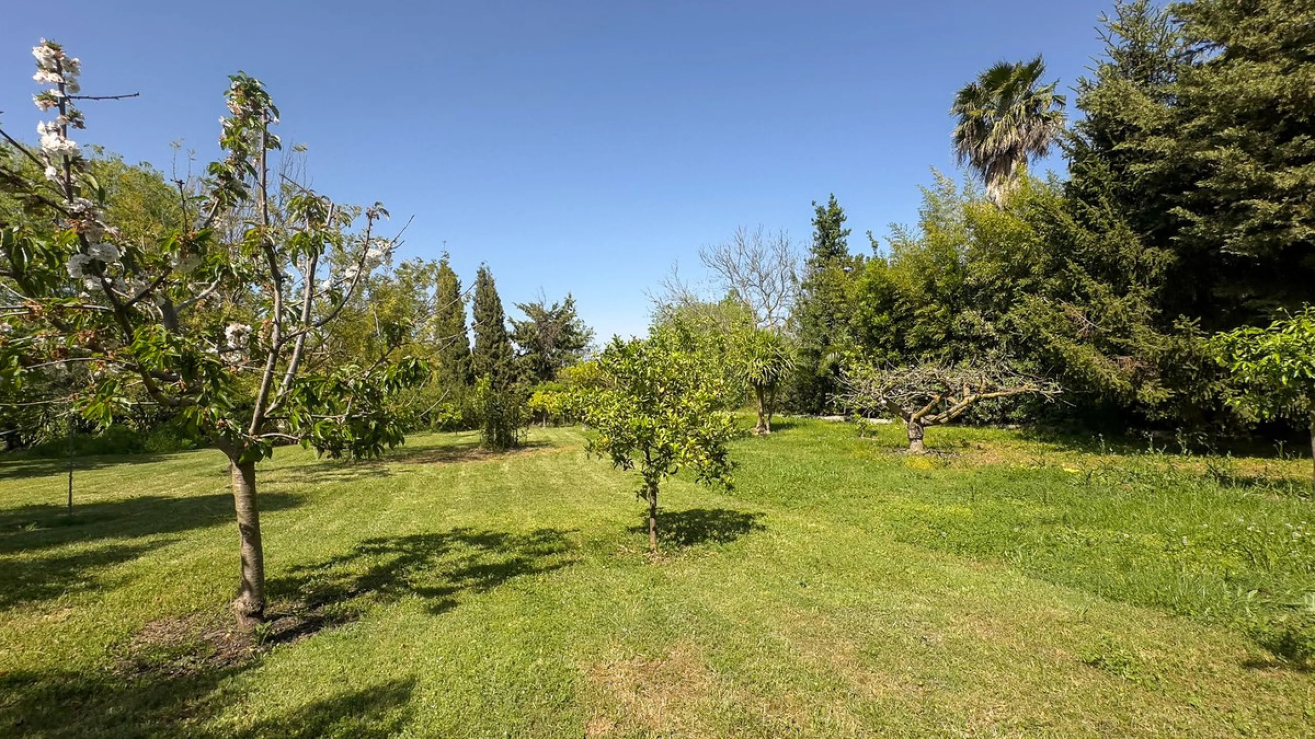 This hidden gem is nestled in a green oasis of nearly 4000m2, located 5 km from the lively village of Alhaurin el Grande, 20 km from the beaches of La Cala de Mijas, and 30 km from Malaga airport. Behind the walls of this historic estate lies a verdant wo