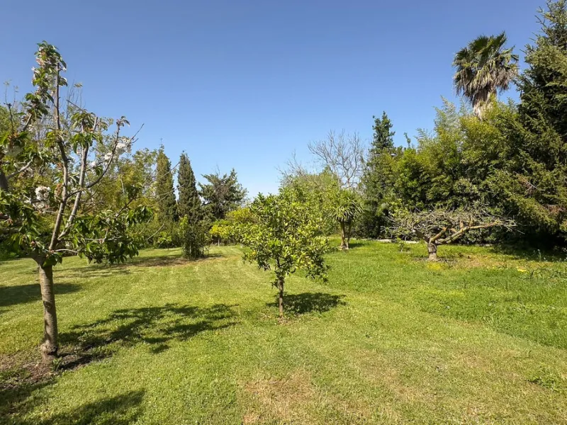 This hidden gem is nestled in a green oasis of nearly 4000m2, located 5 km from the lively village of Alhaurin el Grande, 20 km from the beaches of La Cala de Mijas, and 30 km from Malaga airport. Behind the walls of this historic estate lies a verdant wo