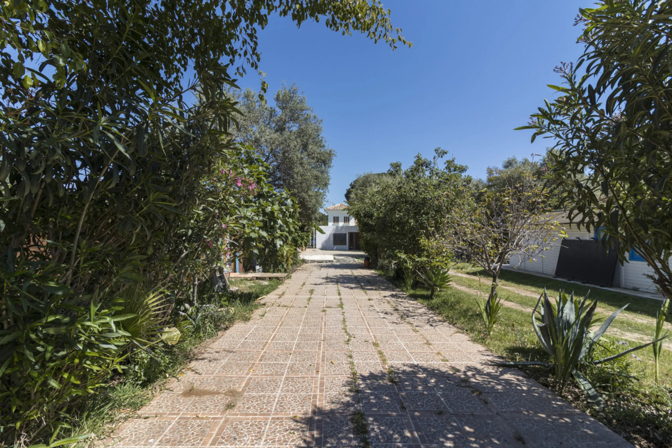 Have you dreamed of acquiring a spacious plot with several homes to invest in?