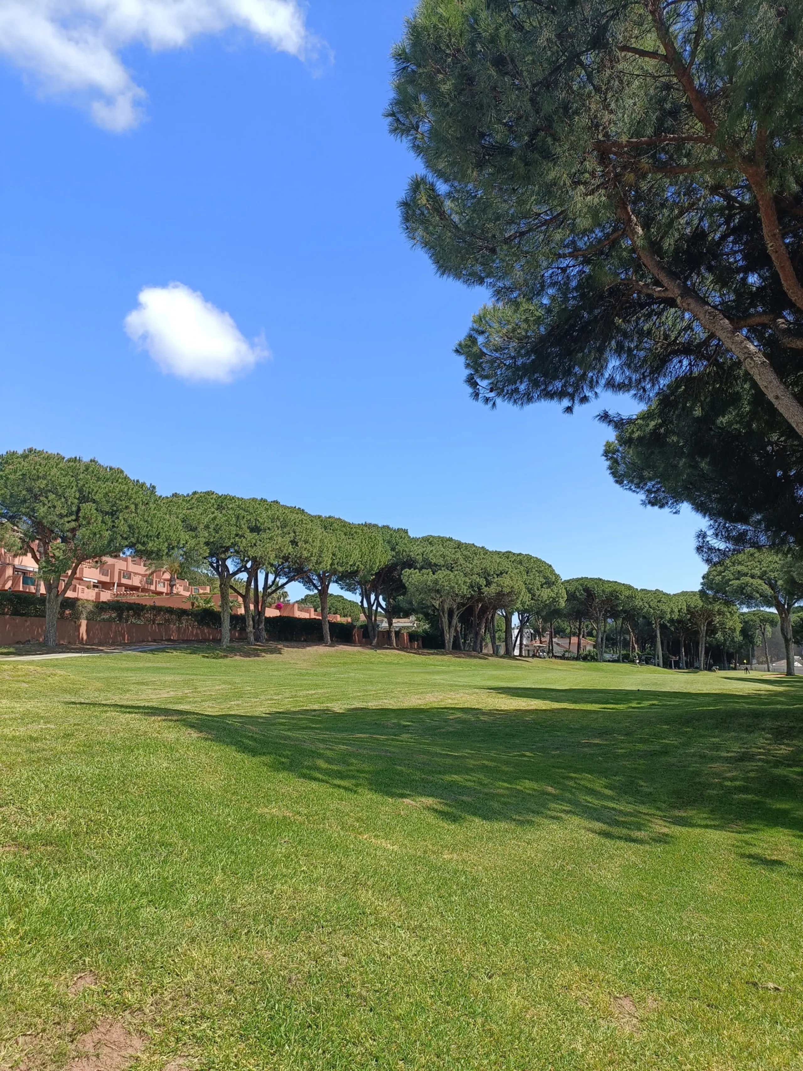 Apartment - Middle Floor Apartment в продаже в Marbella, Málaga. В доме 2 спален и 3 ванных комнат. Площадь дома 120 м²