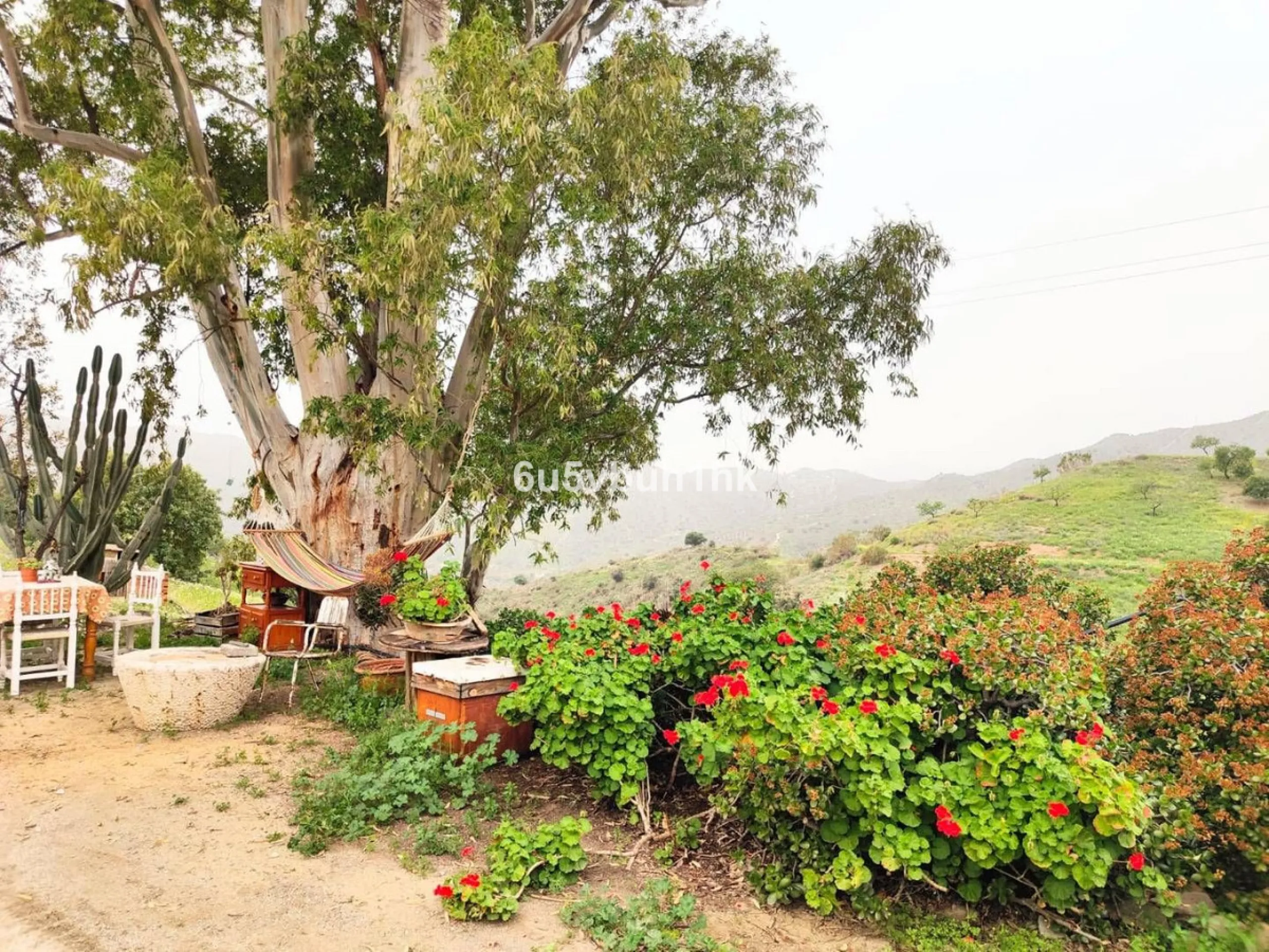 We are pleased to present this distinguished country property located in a privileged rural setting. This rustic house, part of a larger old manor house, offers a total land area of 480,000 square meters, characterized by its natural beauty and dryland fa