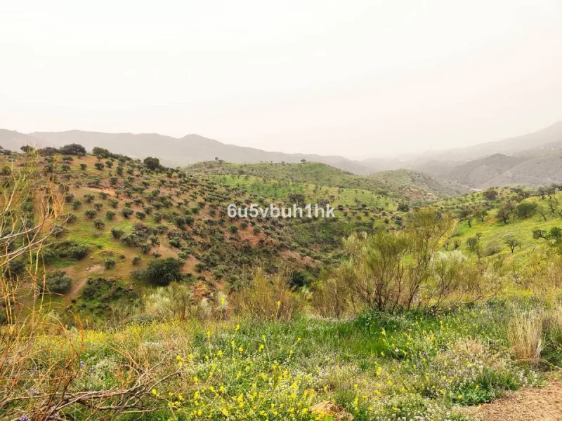 We are pleased to present this distinguished country property located in a privileged rural setting. This rustic house, part of a larger old manor house, offers a total land area of 480,000 square meters, characterized by its natural beauty and dryland fa