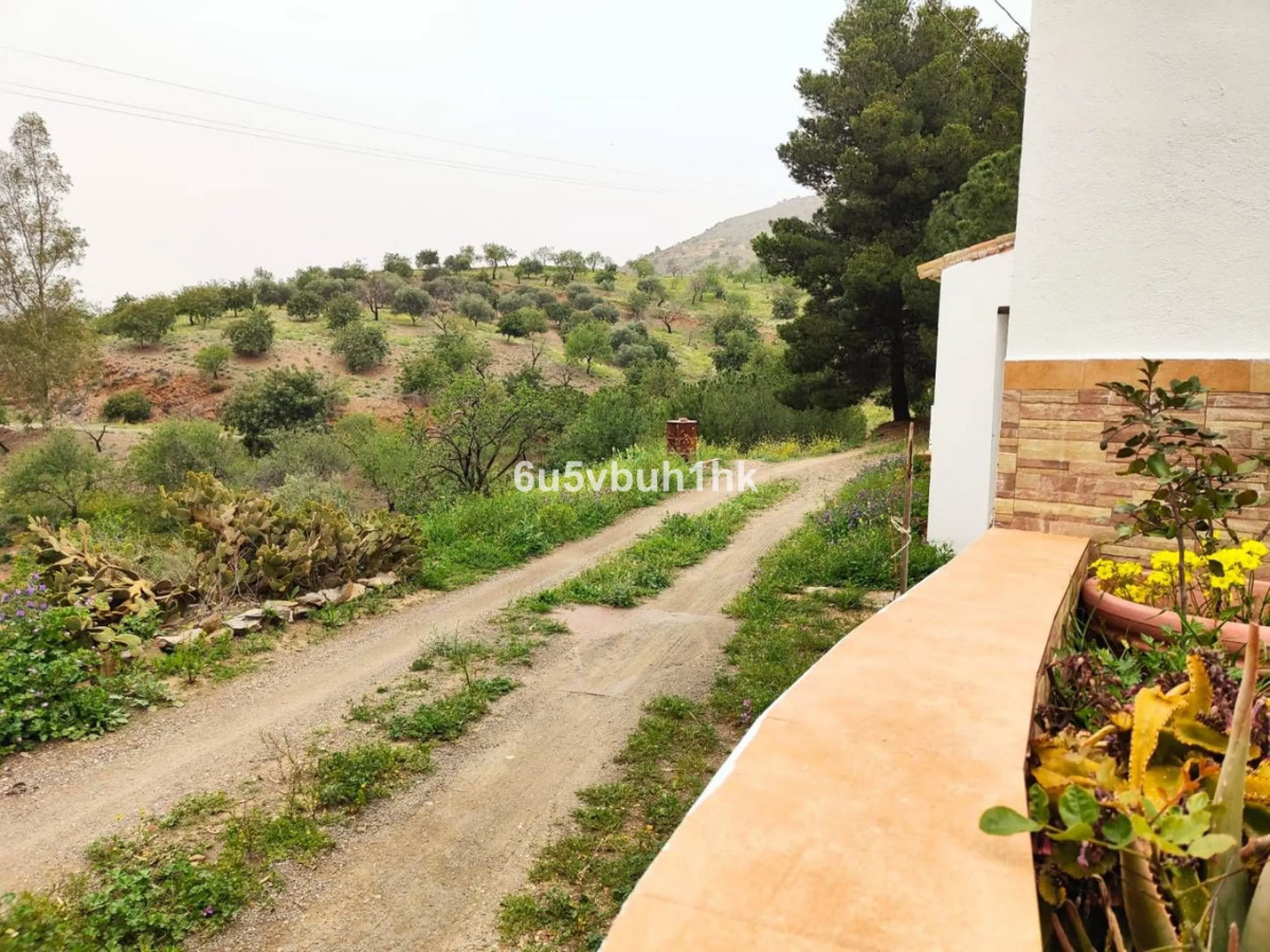 We are pleased to present this distinguished country property located in a privileged rural setting. This rustic house, part of a larger old manor house, offers a total land area of 480,000 square meters, characterized by its natural beauty and dryland fa