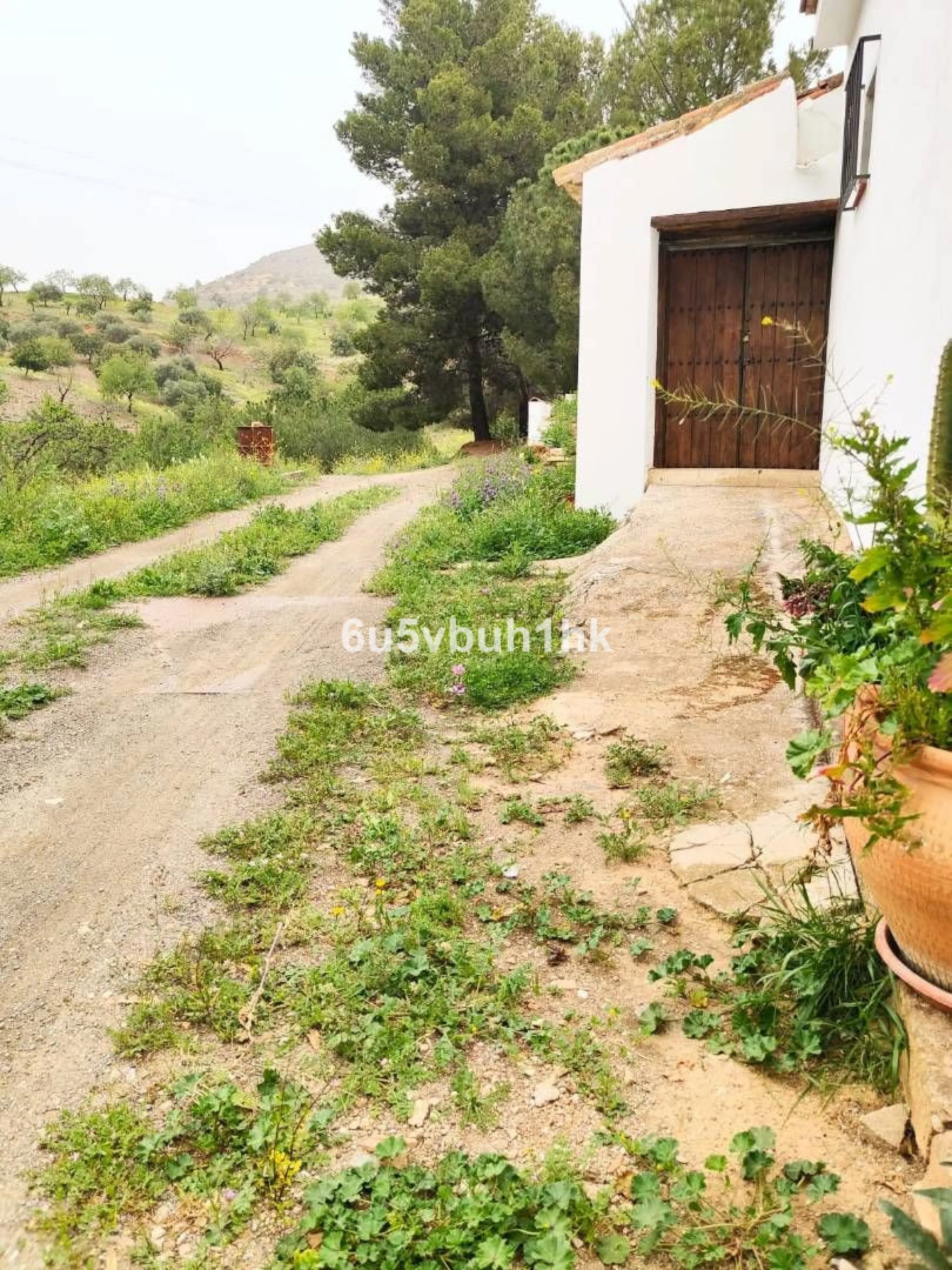 We are pleased to present this distinguished country property located in a privileged rural setting. This rustic house, part of a larger old manor house, offers a total land area of 480,000 square meters, characterized by its natural beauty and dryland fa