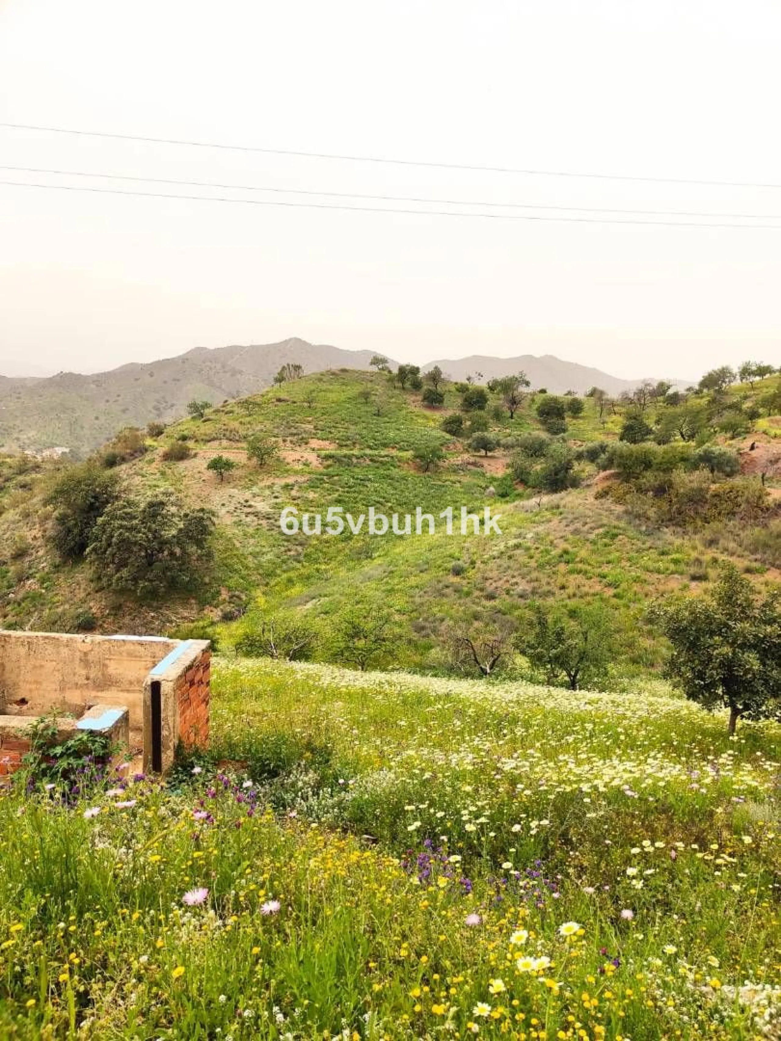 We are pleased to present this distinguished country property located in a privileged rural setting. This rustic house, part of a larger old manor house, offers a total land area of 480,000 square meters, characterized by its natural beauty and dryland fa