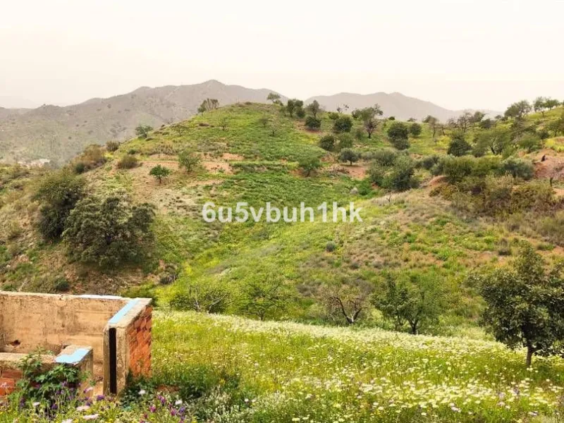 We are pleased to present this distinguished country property located in a privileged rural setting. This rustic house, part of a larger old manor house, offers a total land area of 480,000 square meters, characterized by its natural beauty and dryland fa