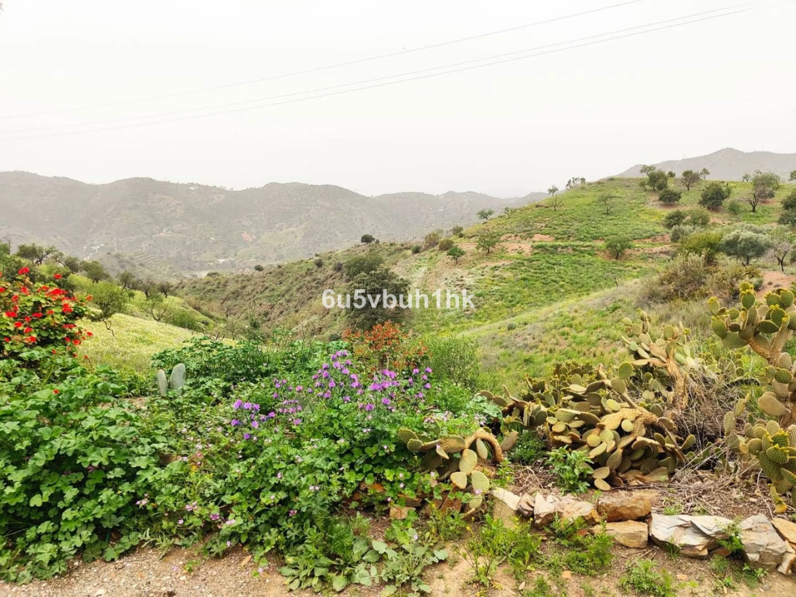We are pleased to present this distinguished country property located in a privileged rural setting. This rustic house, part of a larger old manor house, offers a total land area of 480,000 square meters, characterized by its natural beauty and dryland fa