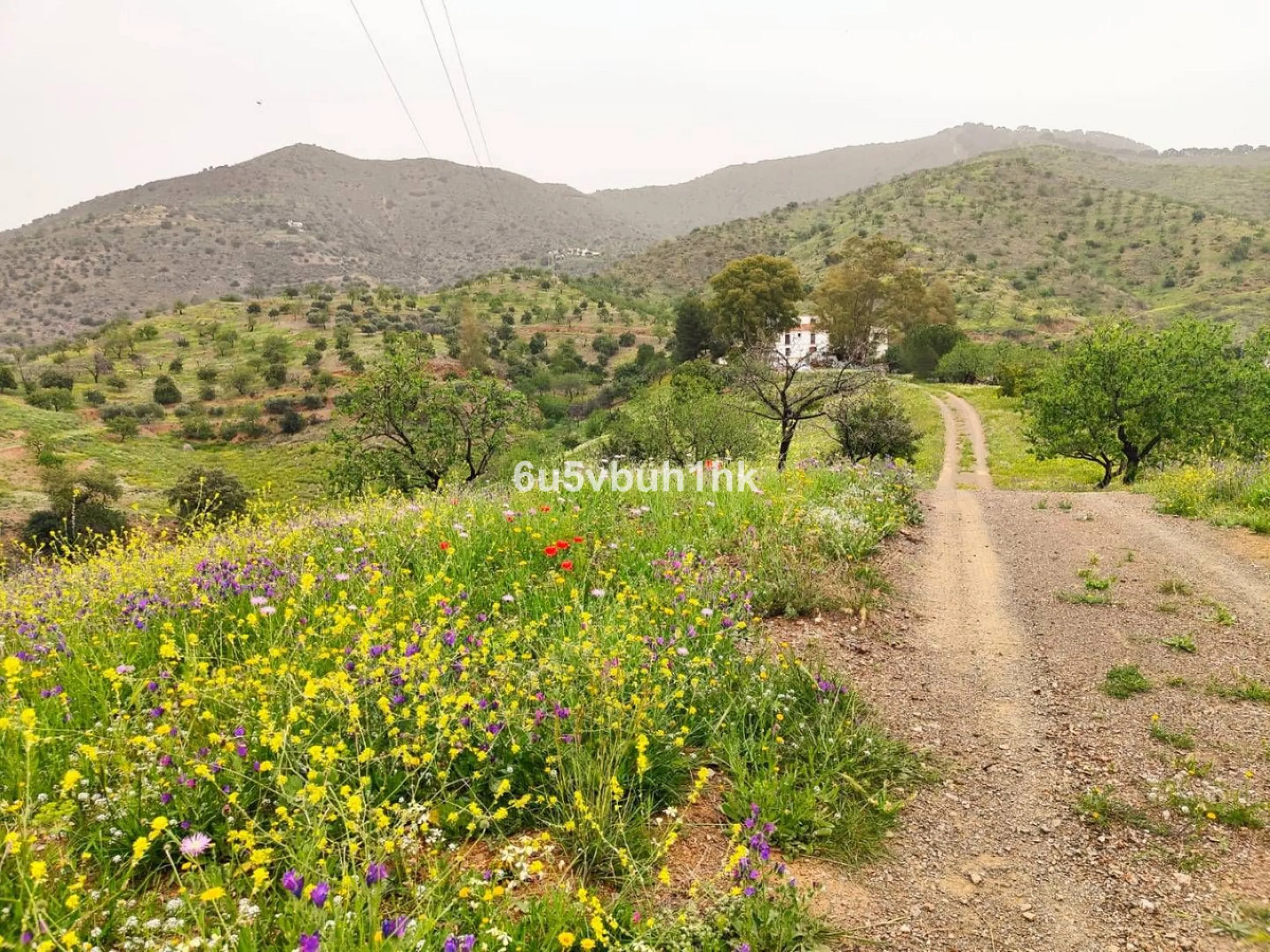 We are pleased to present this distinguished country property located in a privileged rural setting. This rustic house, part of a larger old manor house, offers a total land area of 480,000 square meters, characterized by its natural beauty and dryland fa