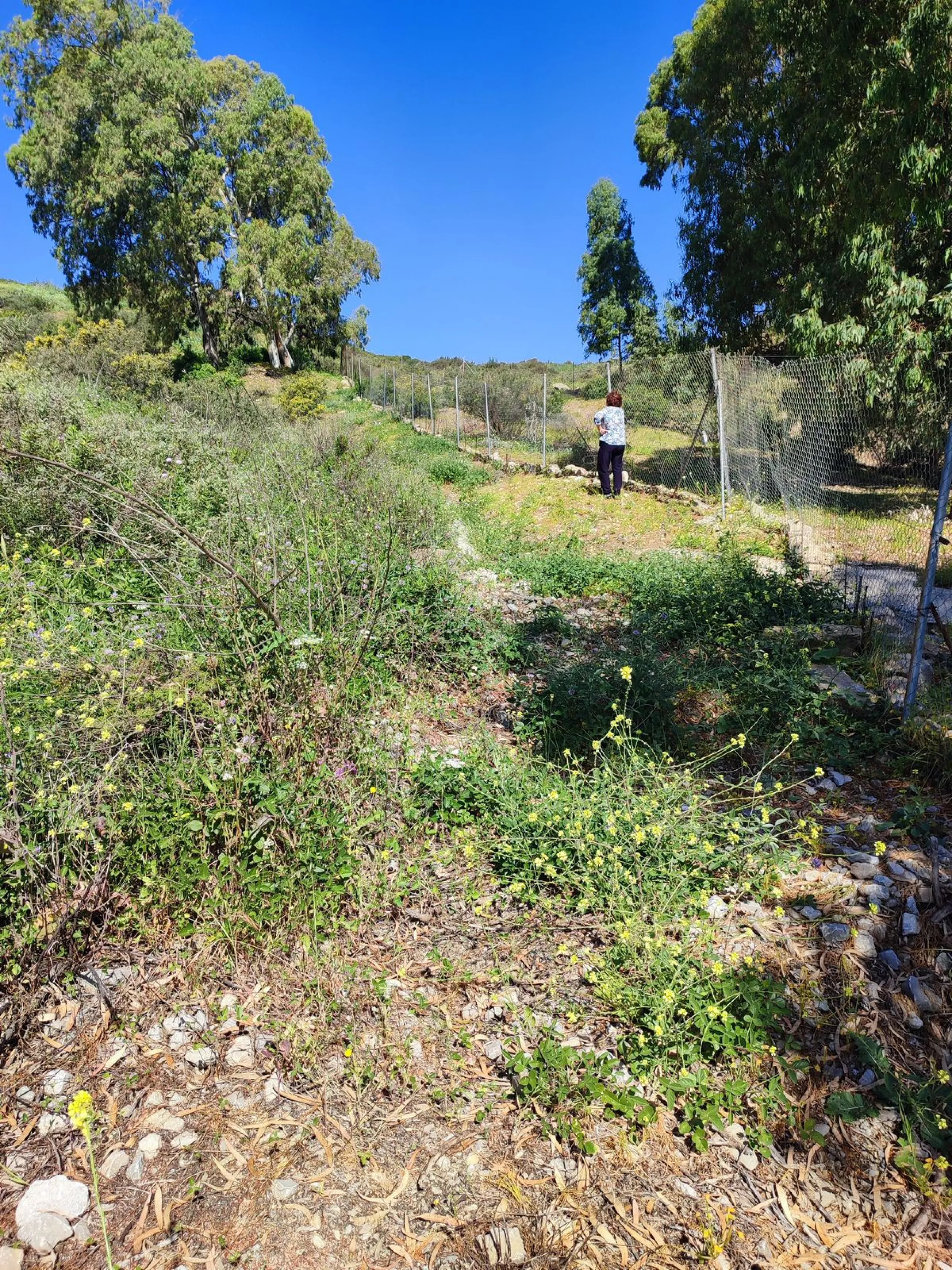 RUSTIC PLOT!