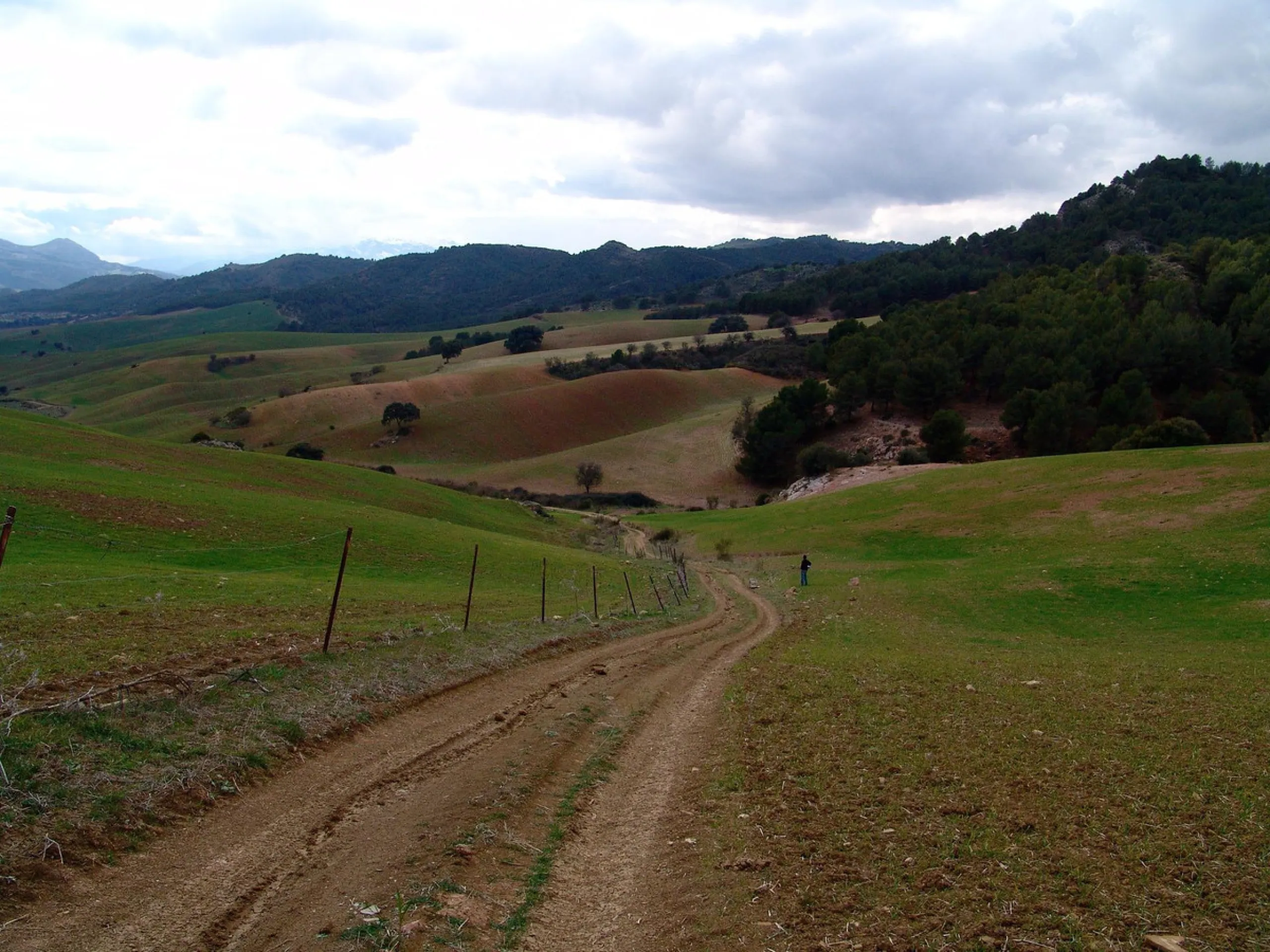 Impressive country estate close to Málaga, possibility to build. Rural property of 313 hectares (3.130.000 sqm or 773,44 acres) located in the Municipality or Ardales in Málaga Province.
