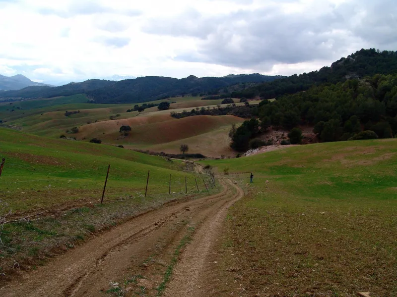 Impressive country estate close to Málaga, possibility to build. Rural property of 313 hectares (3.130.000 sqm or 773,44 acres) located in the Municipality or Ardales in Málaga Province.
