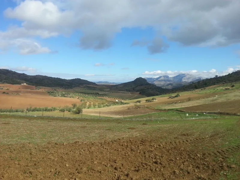 Impressive country estate close to Málaga, possibility to build. Rural property of 313 hectares (3.130.000 sqm or 773,44 acres) located in the Municipality or Ardales in Málaga Province.