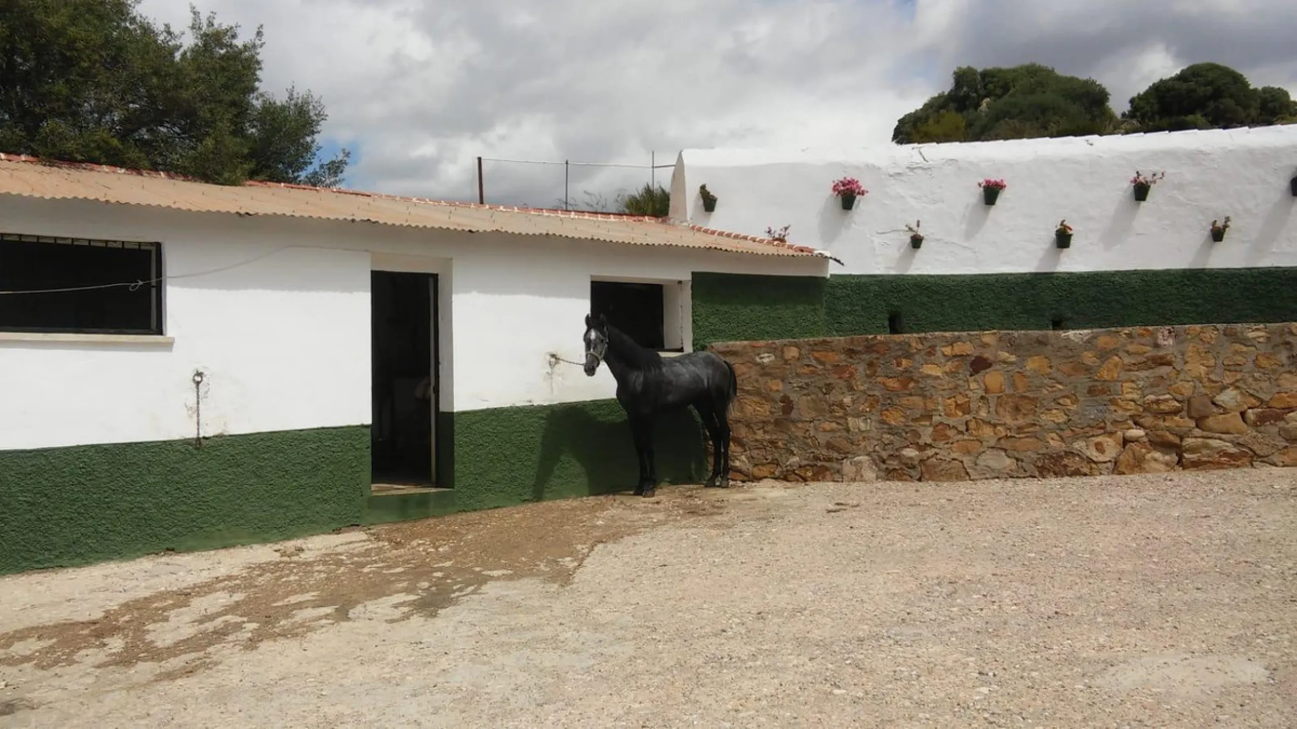 Impressive country estate close to Málaga, possibility to build. Rural property of 313 hectares (3.130.000 sqm or 773,44 acres) located in the Municipality or Ardales in Málaga Province.