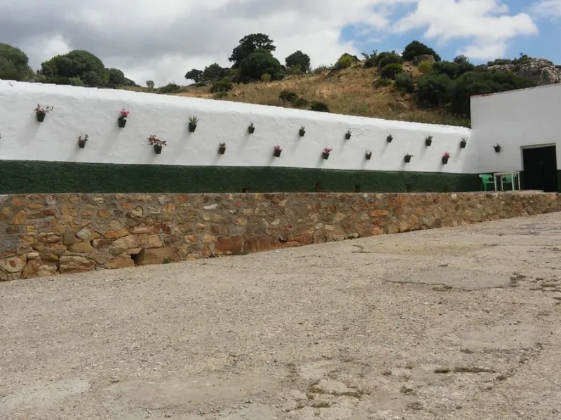 Impressive country estate close to Málaga, possibility to build. Rural property of 313 hectares (3.130.000 sqm or 773,44 acres) located in the Municipality or Ardales in Málaga Province.