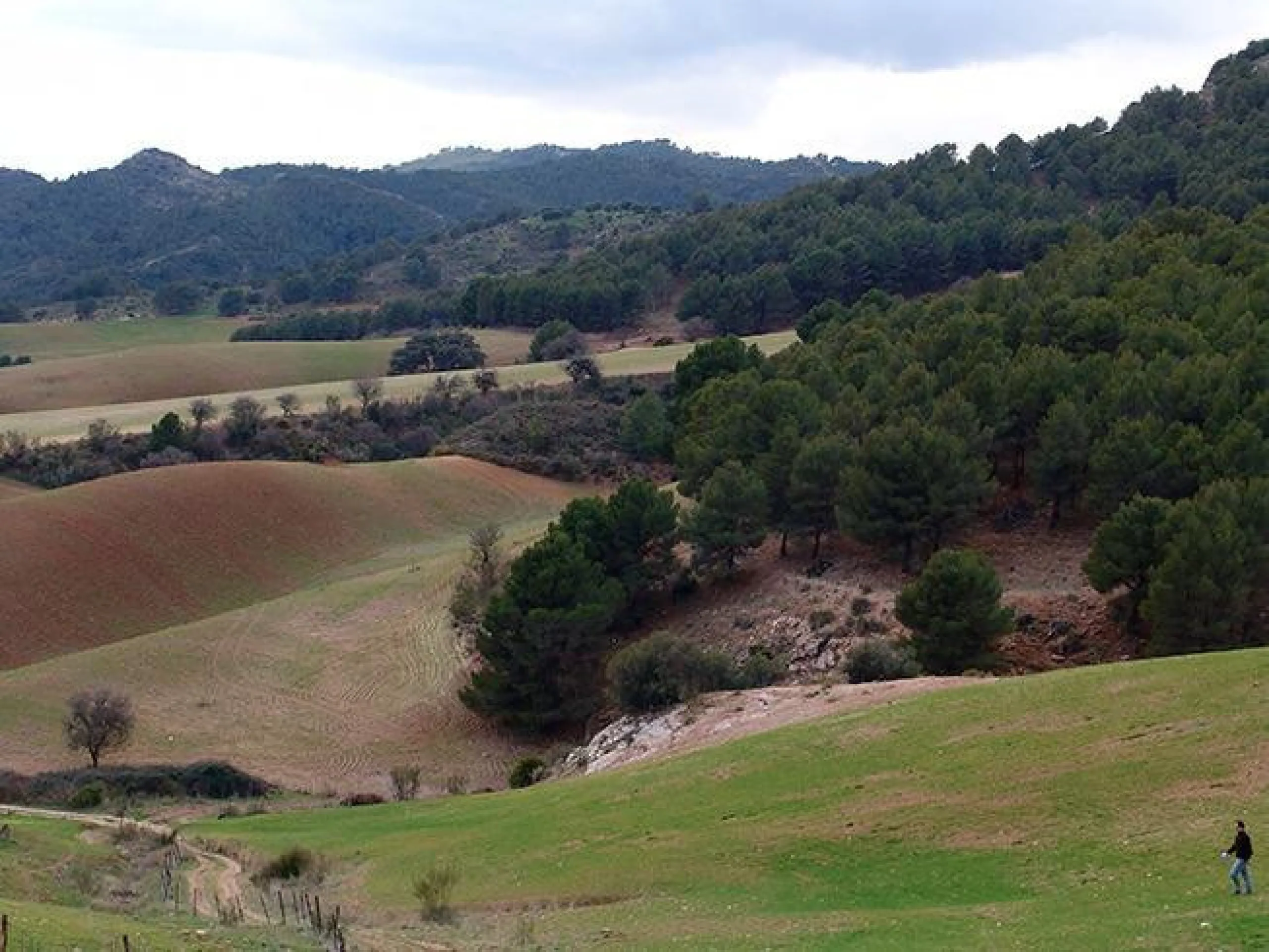Impressive country estate close to Málaga, possibility to build. Rural property of 313 hectares (3.130.000 sqm or 773,44 acres) located in the Municipality or Ardales in Málaga Province.