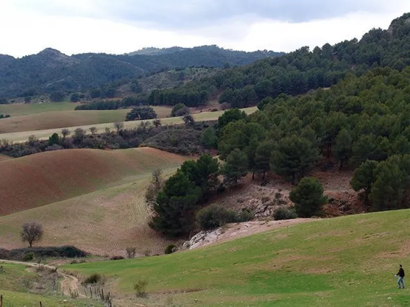Impressive country estate close to Málaga, possibility to build. Rural property of 313 hectares (3.130.000 sqm or 773,44 acres) located in the Municipality or Ardales in Málaga Province.