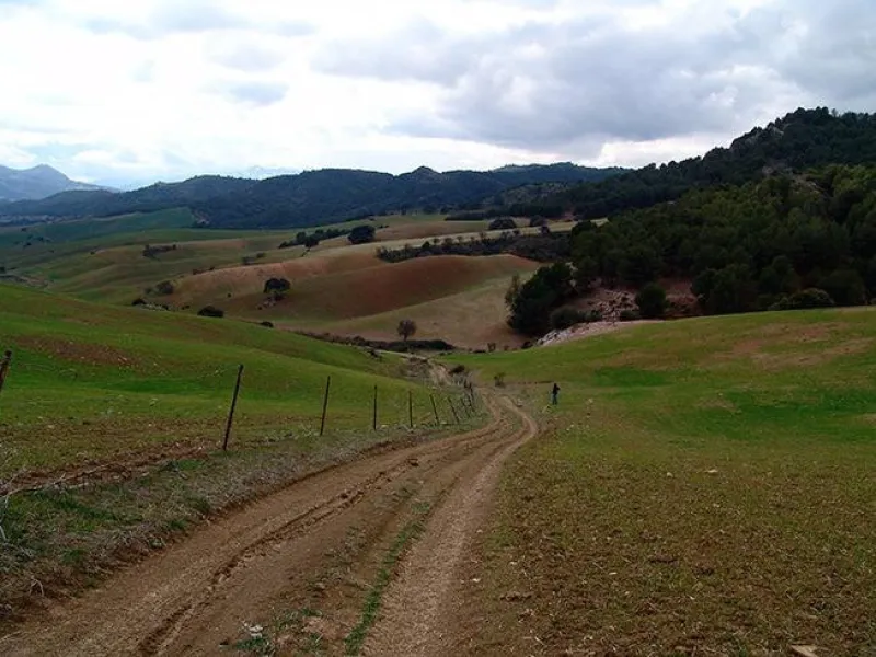 Impressive country estate close to Málaga, possibility to build. Rural property of 313 hectares (3.130.000 sqm or 773,44 acres) located in the Municipality or Ardales in Málaga Province.