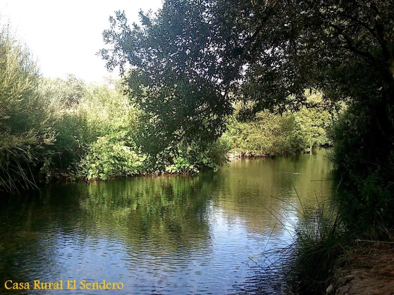 Impressive country estate close to Málaga, possibility to build. Rural property of 313 hectares (3.130.000 sqm or 773,44 acres) located in the Municipality or Ardales in Málaga Province.