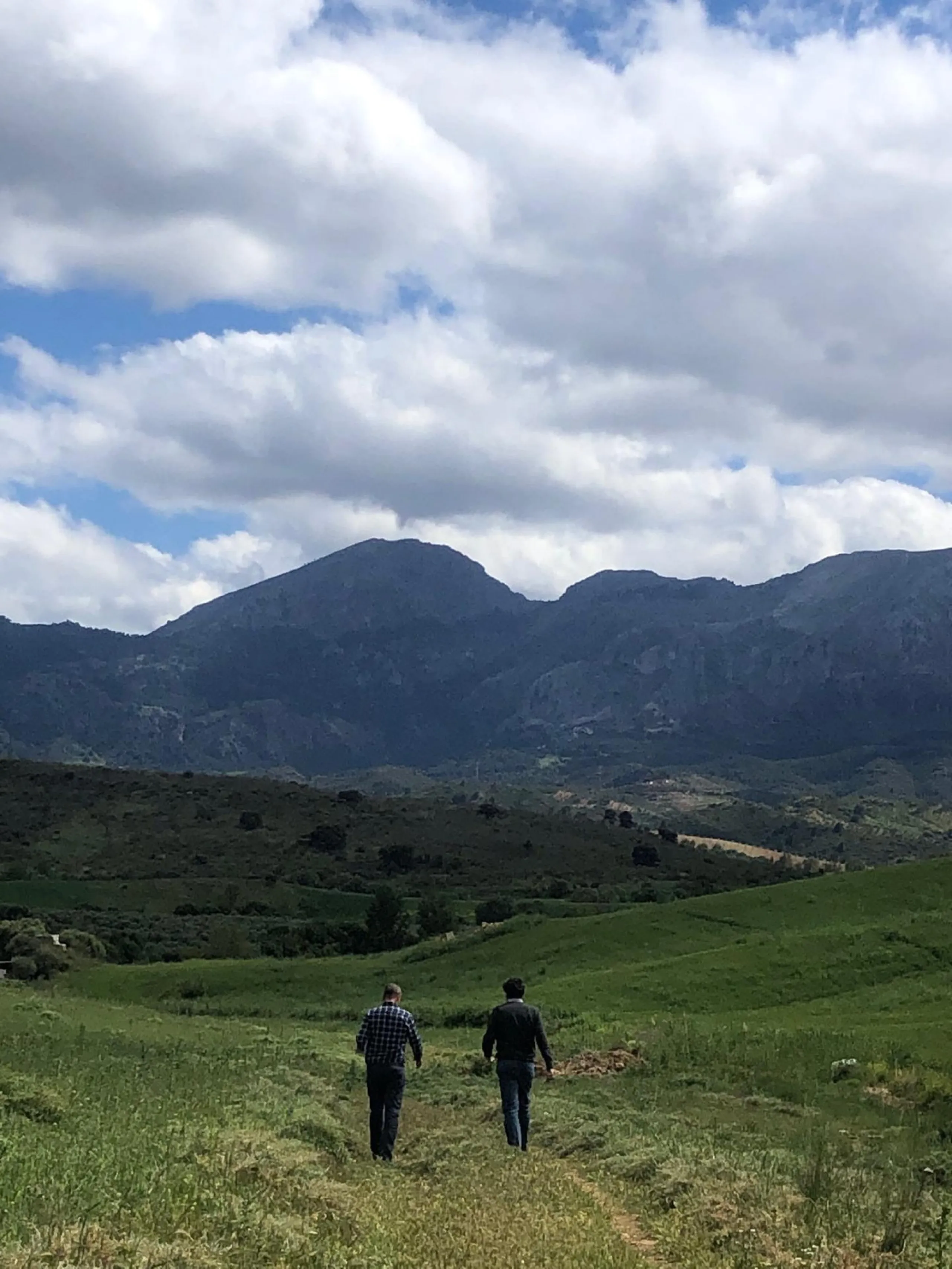 Impressive country estate close to Málaga, possibility to build. Rural property of 313 hectares (3.130.000 sqm or 773,44 acres) located in the Municipality or Ardales in Málaga Province.