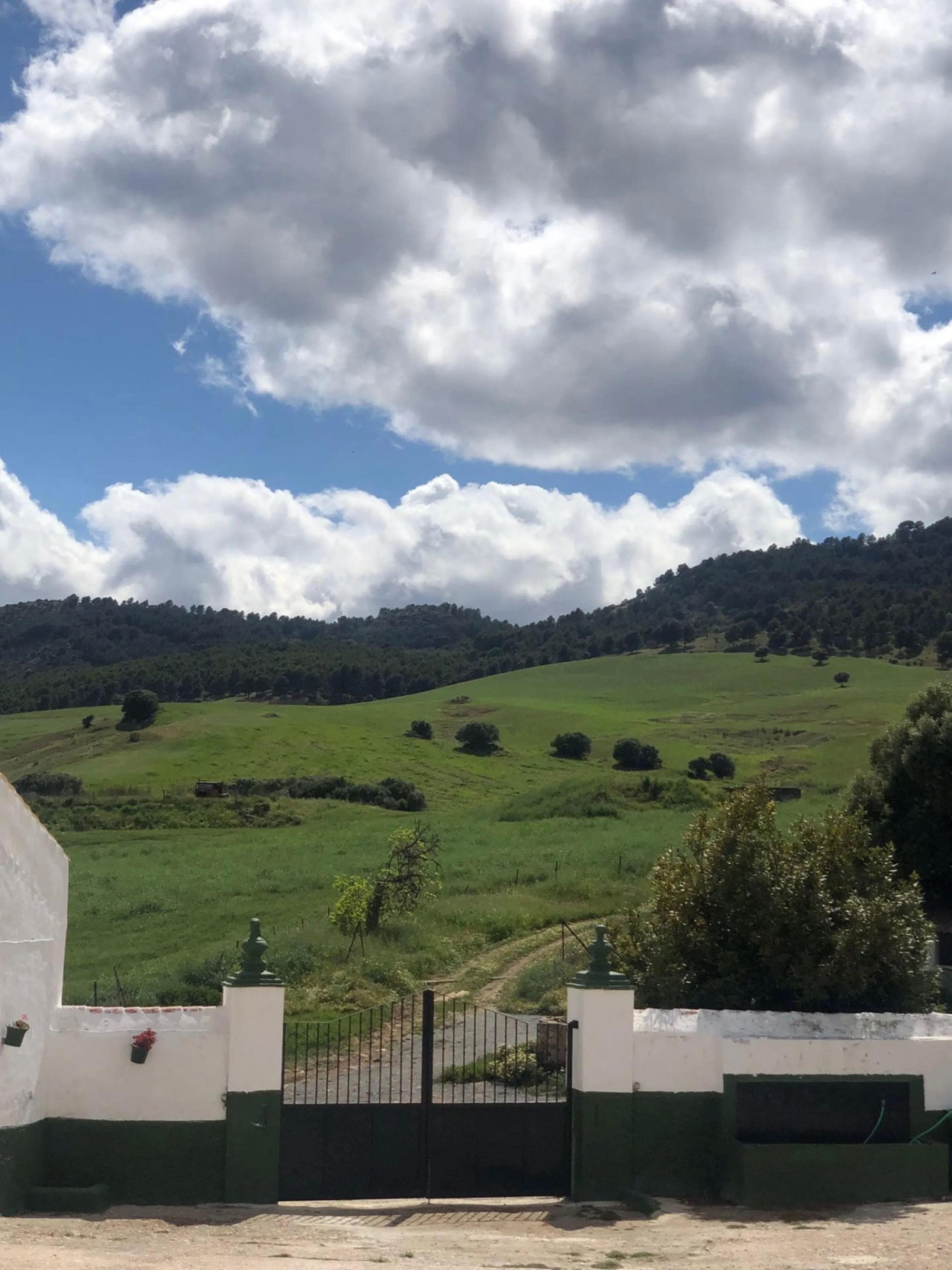 Impressive country estate close to Málaga, possibility to build. Rural property of 313 hectares (3.130.000 sqm or 773,44 acres) located in the Municipality or Ardales in Málaga Province.