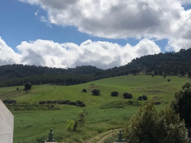 Impressive country estate close to Málaga, possibility to build. Rural property of 313 hectares (3.130.000 sqm or 773,44 acres) located in the Municipality or Ardales in Málaga Province.