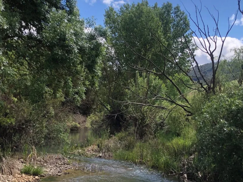 Impressive country estate close to Málaga, possibility to build. Rural property of 313 hectares (3.130.000 sqm or 773,44 acres) located in the Municipality or Ardales in Málaga Province.
