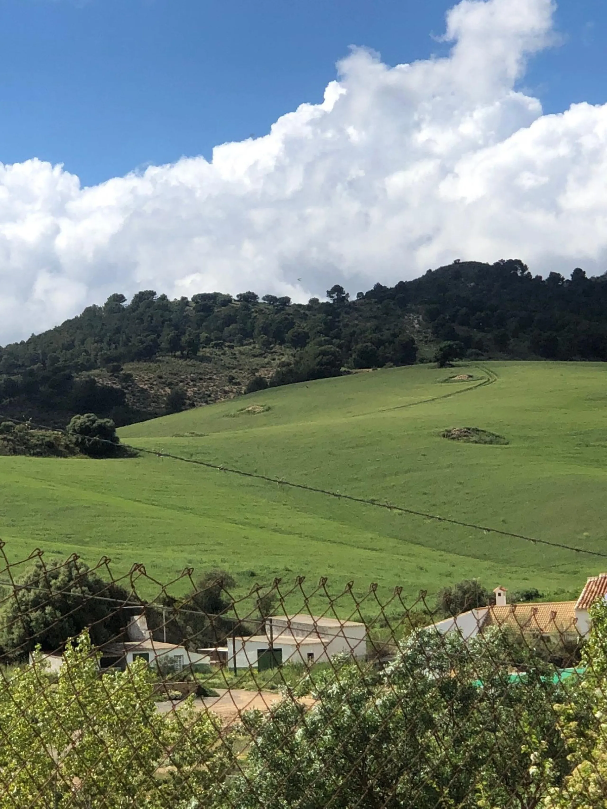Impressive country estate close to Málaga, possibility to build. Rural property of 313 hectares (3.130.000 sqm or 773,44 acres) located in the Municipality or Ardales in Málaga Province.