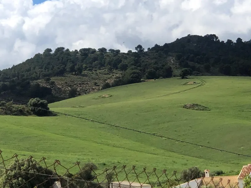 Impressive country estate close to Málaga, possibility to build. Rural property of 313 hectares (3.130.000 sqm or 773,44 acres) located in the Municipality or Ardales in Málaga Province.