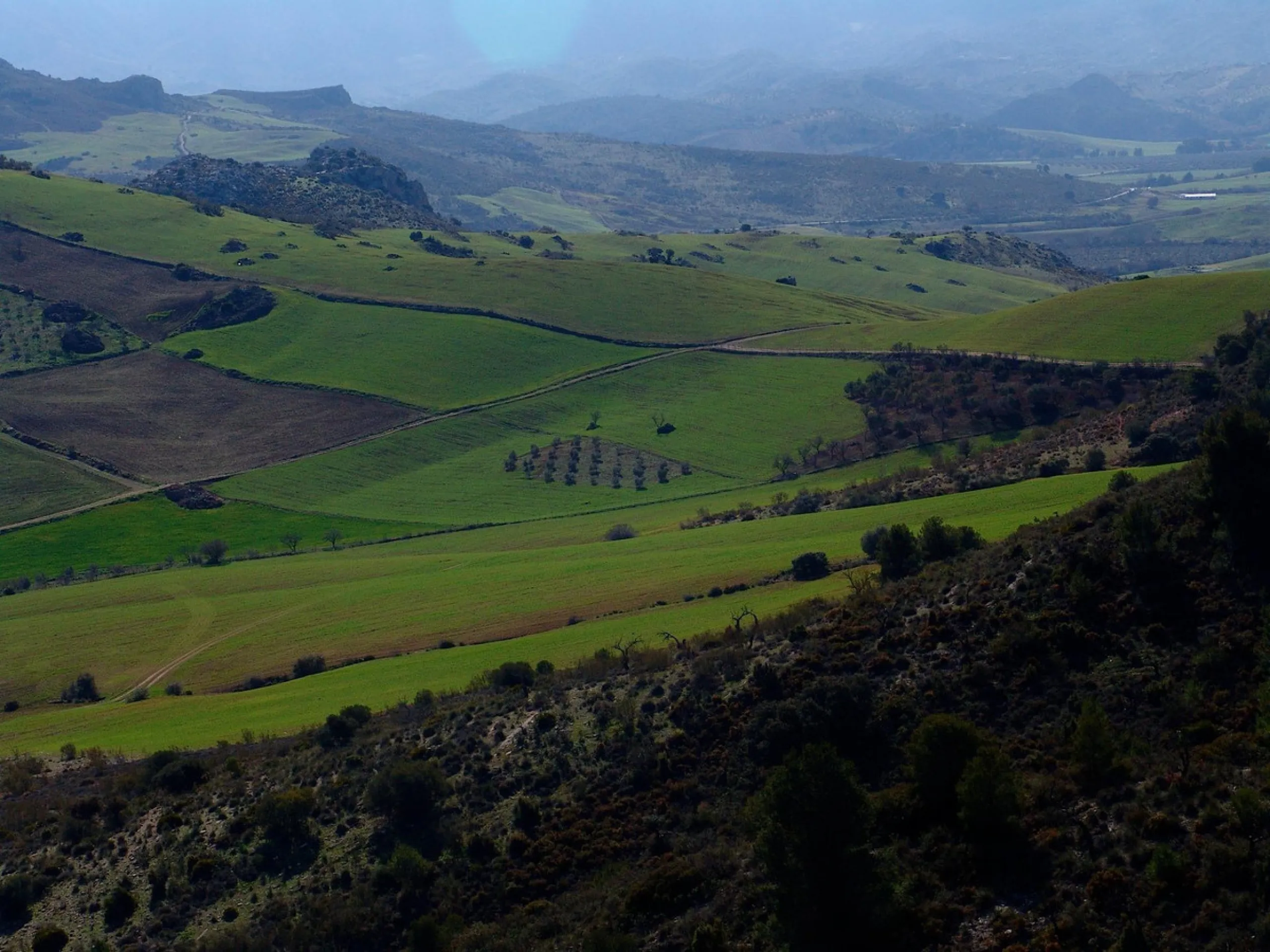 Impressive country estate close to Málaga, possibility to build. Rural property of 313 hectares (3.130.000 sqm or 773,44 acres) located in the Municipality or Ardales in Málaga Province.