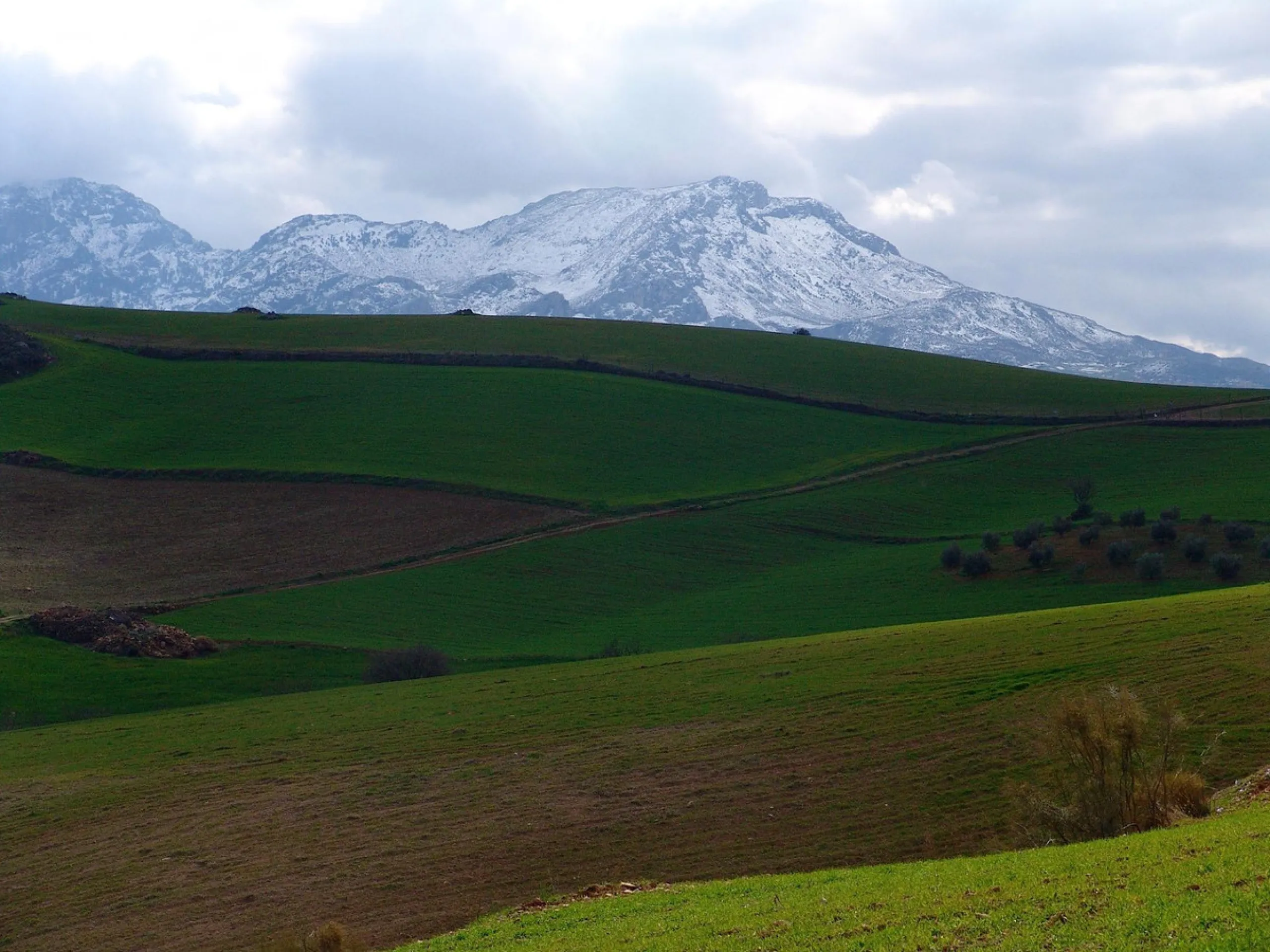 Impressive country estate close to Málaga, possibility to build. Rural property of 313 hectares (3.130.000 sqm or 773,44 acres) located in the Municipality or Ardales in Málaga Province.
