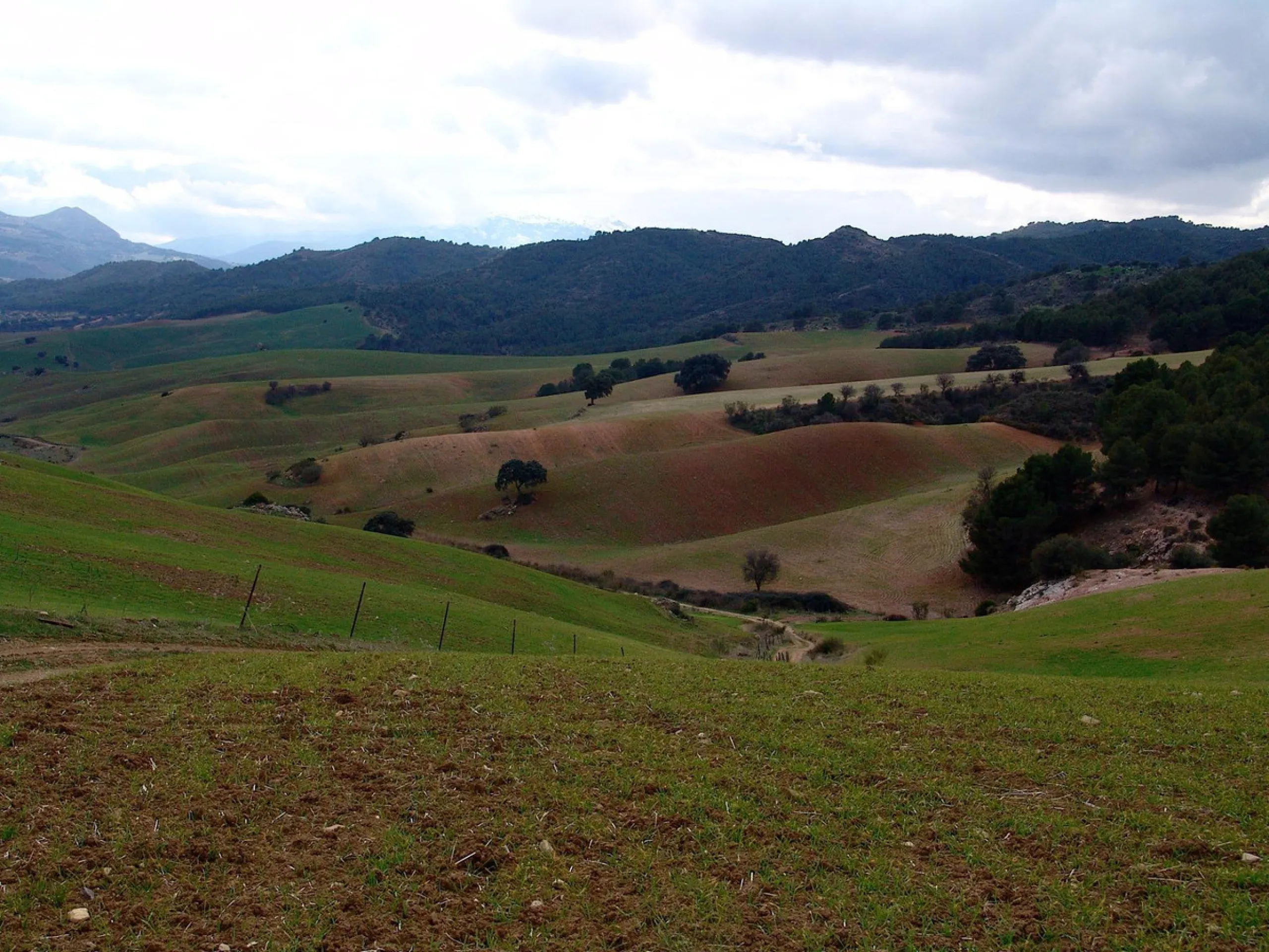 Impressive country estate close to Málaga, possibility to build. Rural property of 313 hectares (3.130.000 sqm or 773,44 acres) located in the Municipality or Ardales in Málaga Province.