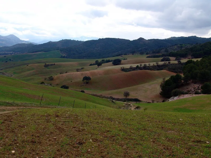 Impressive country estate close to Málaga, possibility to build. Rural property of 313 hectares (3.130.000 sqm or 773,44 acres) located in the Municipality or Ardales in Málaga Province.